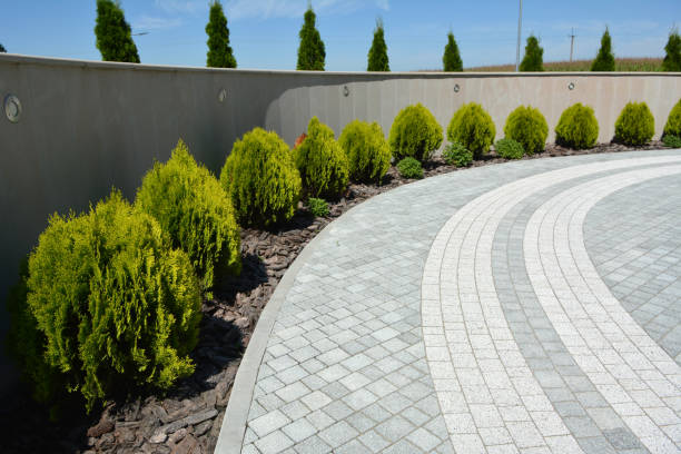 Best Custom Driveway Pavers  in Sherwood, OH